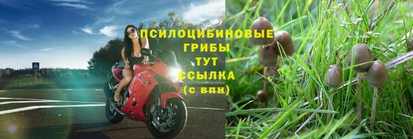 героин Снежногорск