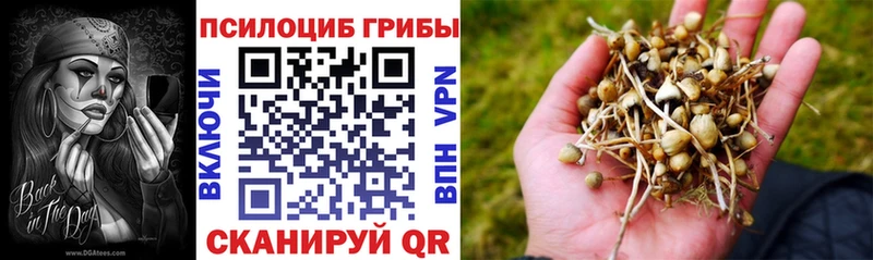 Галлюциногенные грибы GOLDEN TEACHER  что такое   дарк нет состав  Суровикино 